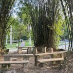 Bambuzal: Espaço de lazer e integração dos estudantes dos anos finais e ensino médio.